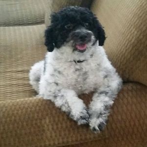 Meet your Posher, Kathleen